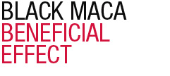 maca-negra